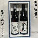 浦霞（うらがすみ） 厳選飲み比べギフトセット（純米／純米吟醸『禅』）宮城県（株式会社佐浦）【720ml2本】［日本酒…