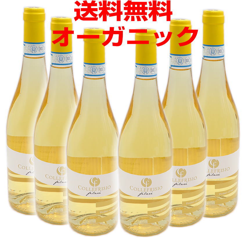 トレッビアーノ ダブルッツォ6本セット [2021] 750ml X 6本 白 辛口 コッレフリージオ 【送料無料】（沖縄・離島は別）