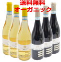 モンテプルチャーノ ダブルッツォ 3本 赤 辛口 トレッビアーノ ダブルッツォ 3本 白 辛口 【合計6本セット】 コッレフリージオ 【送料無料】(沖縄・離島は...