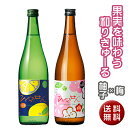 一ノ蔵　果実を味わう和りきゅーるセット（720ml×2本）【ひめぜん】［宮城県］