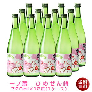 【送料無料】一ノ蔵ひめぜんUme(梅)720ml×12本