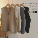【SS限定価格+半額商品多数+お得クーポン+P2】【マラソン期間最大10%OFFクーポン&P2倍】Vネック ニットベスト レディース ベスト プルオーバー ニット ジレ プルベスト シンプル スクールベスト 厚手 チョッキ Vネックニットベスト