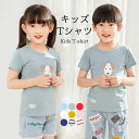 ネコポス送料無料 Tシャツ カットソー キッズ 春 140 150 半袖 女の子 男の子 コットン おしゃれ ボーダー シンプル 女児 男児 キレイめ スッキリ...