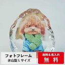 敬老の日 写真入り ギフト プレゼント 孫 氷山型 Lサイズ おしゃれ 名入れ 感動の写真入りギフト オーダーメイド 写真立て フォトフレーム プレゼント オリジナル グッズ 位牌クリスタル 結婚祝い ペット カップル 名前入り