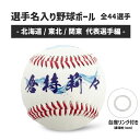 レーサー名入り野球ボール|数量限定! 北海道 東北 関東 JLC ボートレース グッズ ボートレーサー 応援 推し ギフト プレゼント 応援 登録番号 選手