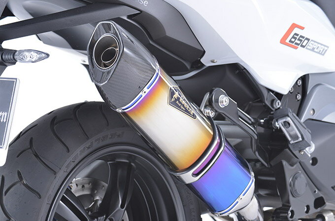 直送品 アールズギア リアルスペック チタンスリップオン チタンドラッグブルー BMW C650Sport (16-22) R's Gear RB20-03SD