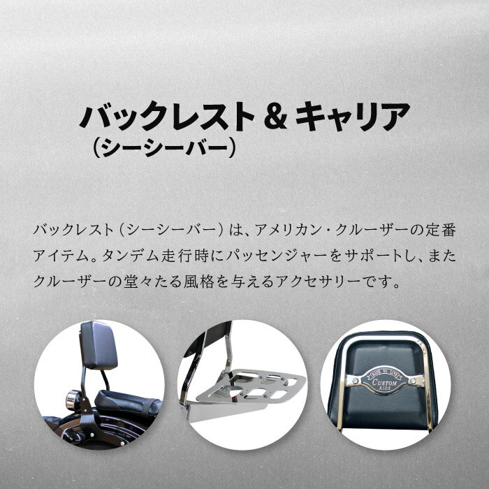 �������������������ץ������� 8863 �Хå��쥹�� ��ޥ� XVS950A MIDNIGHT STAR XVS1300A MIDNIGHT STAR H.a.c. Products �Х��� ���������С�