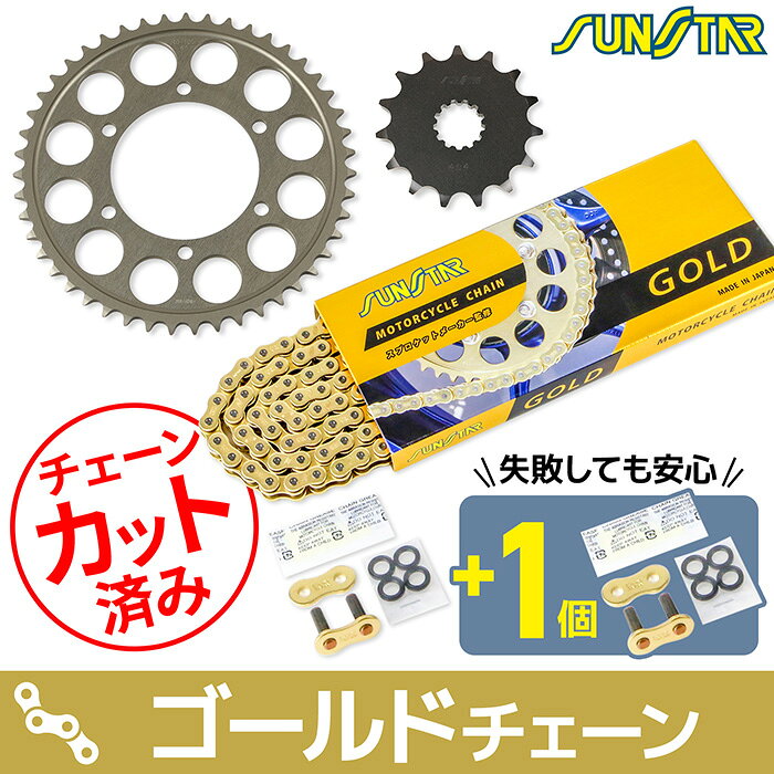 サンスター チェーン＆スプロケット 3点セット トライアンフ DAYTONA 675 DAYTONA ...