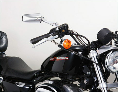 ���ʥå��� �ʥݥ쥪�� AM2-101-10L �����åȥߥ顼��10mm���ʥ�å��� TANAX NAPOLEON �Х����ߥ顼 �ݥꥴ�󥿥���