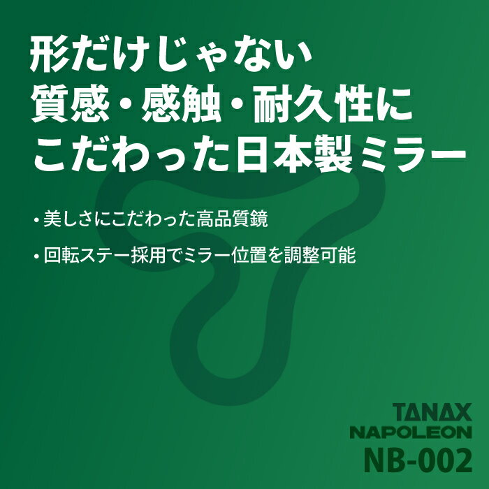 タナックス ナポレオン NB-002 バレンミラーEX ブラック TANAX NAPOLEON バイクミラー 2