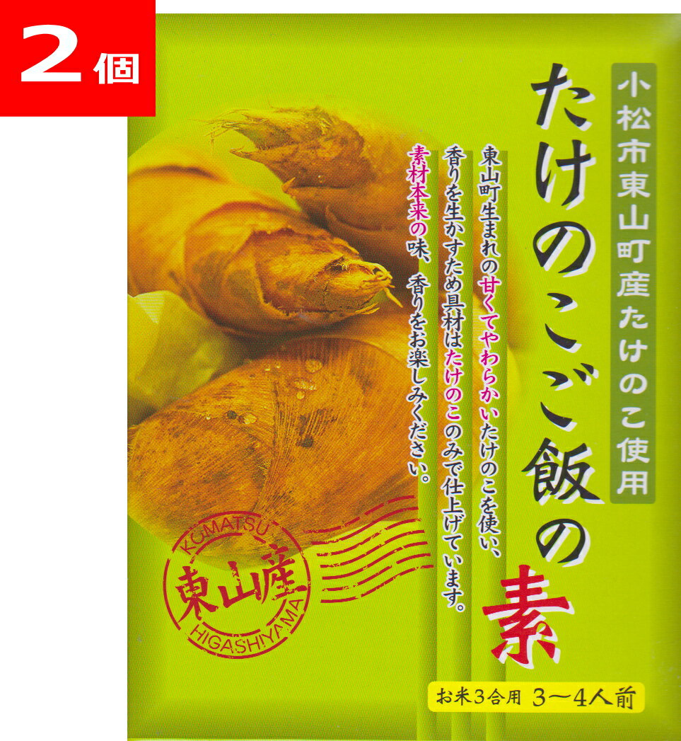 たけのこご飯の素×2個セット JA小松市 東山町産 化学調味料無添加