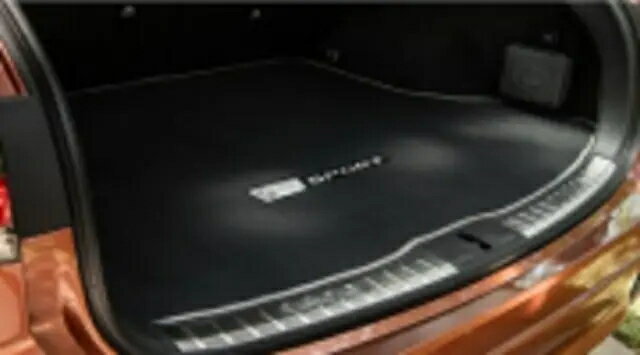 5代目（ALA10/ALH10型） RX用 レクサス純正カーペットカーゴマット