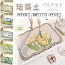 ★限定15%offクーポン付き★珪藻土バスマット 柔らか ソフトバスマット 珪藻土 速乾 割れない 足マット 足拭きマット お風呂マット ソフト珪藻土バスマット...