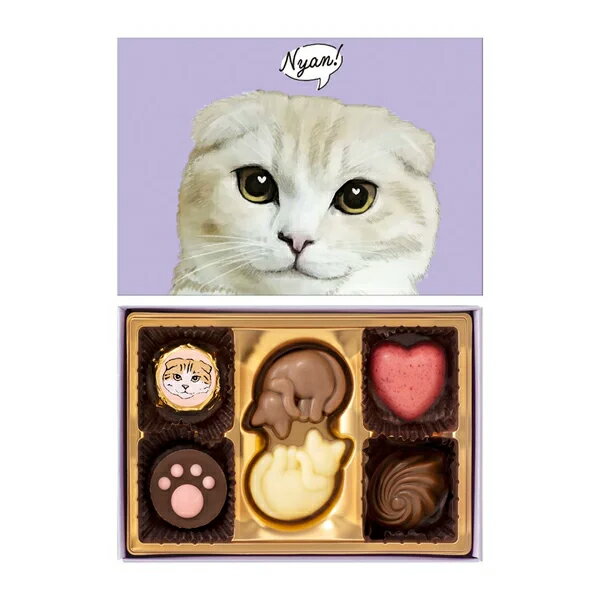 バレンタイン チョコ 2026 ねこみゃみれ にゃそーてっどチョコレート メリーチョコレート 猫 チョコ バ..