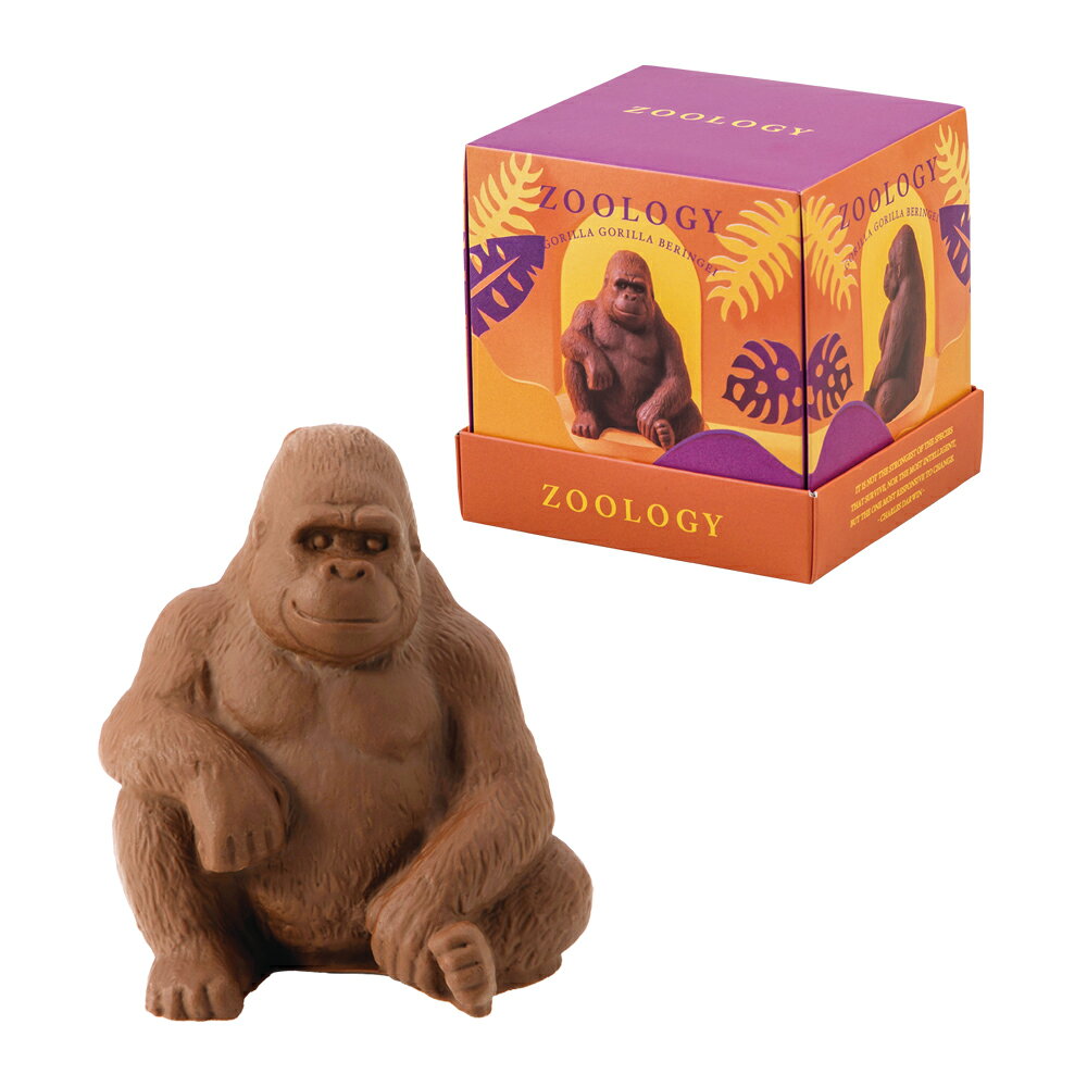 �ۥ磻�ȥǡ� ���֤� 2026 �ޥ���ƥ󥴥�� ���������� ZOOLOGY ���祳�졼�� �Х�󥿥��� ���祳 2026 ���⤷�����祳 �ꥢ�� Ω�� ���ۻ�...