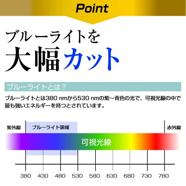 任天堂 スイッチ ライト ブルーライトカット ガラスフィルム 2019 新型 Nintendo Switch Lite 液晶保護 フィルム ニンテンドースイッチ ライト 液晶保護ガラス 2.5Dラウンドエッジ加工 強化ガラスフィルム