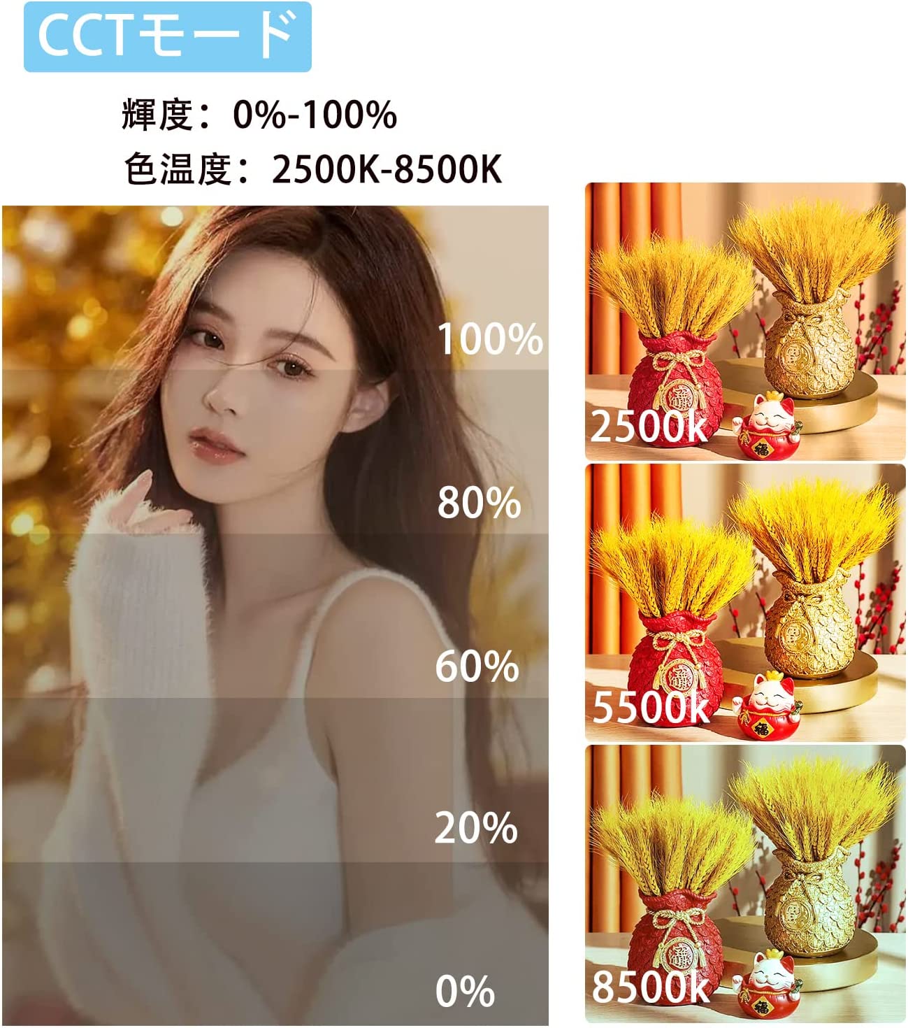 LEDビデオライト RGB撮影ライト RGB ビデオライト LED超薄型 30W高輝度 ビデオ撮影用 265球 2500k-8500k CRI95+ カメラ撮影照明 17種類シーン スマホアプリ調整可 写真撮影 ビデオ撮影 音楽MV撮影 小物撮影 補助照明用