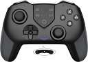 Nintendo Switch コントローラー マクロ機能 Switch プロコン 無線Bluetooth HD振動 6軸ジャイロセンサー搭載 スイッチコントローラー TURBO連射機能付き Nintendo用スイッチコントローラーすべてのシステムに対応 ブラック