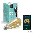 LED電球 E26口金 スマート電球 フィラメント電球 led照明 常夜灯 電球色 広配光タイプ 遠隔操作 アプリ制御 Alexa/Google Home対応 タイマー機能 省エネ 装飾電球 間接照明 エジソンスマート レトロ おしゃれなスマート電球 E26 2200K Alexa対応 スマートライト