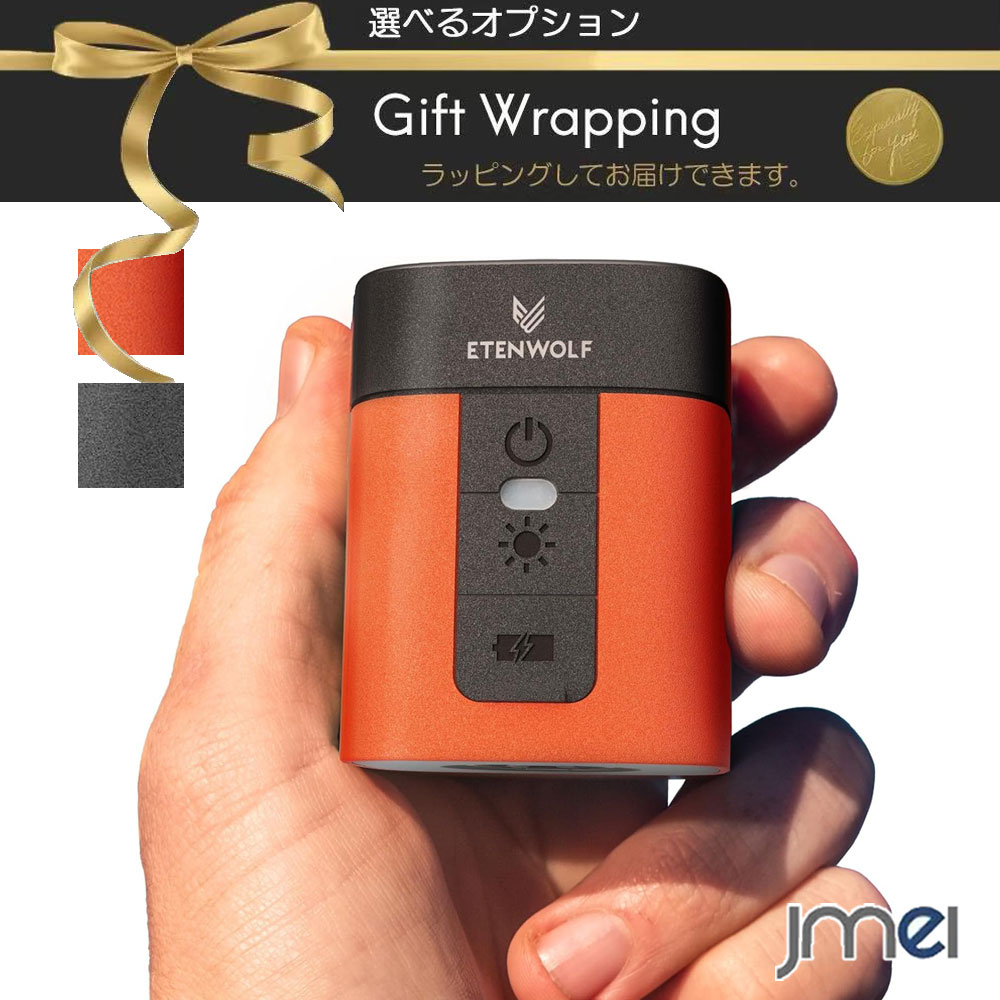 携帯式 電動空気入れ エアーポンプ 電動ポンプ 空気抜き両対応 ポータブル 2600mAh 流量360L/min 4.5kPa 5種ノズル付属 LEDライト内蔵 3段階調光 Type-C充電 フック付き エアマットレス 浮輪 真空袋 圧縮袋 アウトドア キャンプギア 車中泊用品 避難グッズ 浮き輪用空気入れ