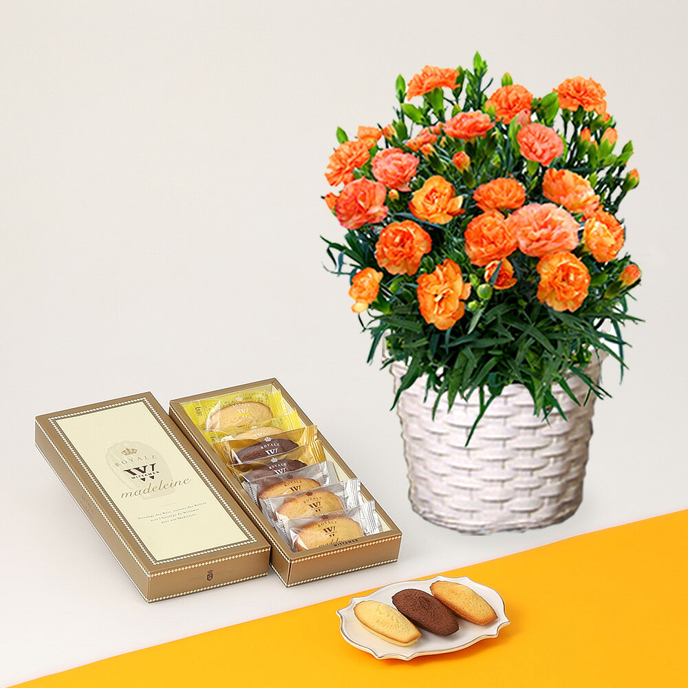 乐天商城 - 母の日 2026 プレゼント 花とスイーツ ギフト カーネーションオレンジドレス花鉢＆ヴィタメール ロイヤルマドレーヌ 7個入 焼き菓子 50代 60代 70代 スイーツセット 花とお菓子 実用的 WITTAMER 母の日 焼き菓子 花 ギフト