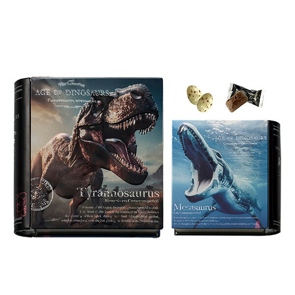 バレンタイン チョコ 2026 子供 恐竜チョコ 男の子 プレゼント 恐竜ブック缶 チョコレート菓子14粒入 ..