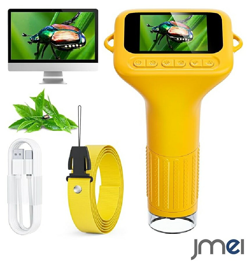 1000�ܥ����� ������ ���å� �ǥ����븲���� �Ҷ��� �ϥ�ǥ������� IPS�����꡼����� ���ޥ� 2�����IPS�����꡼�� �������� �ݡ����֥� ���� ��...