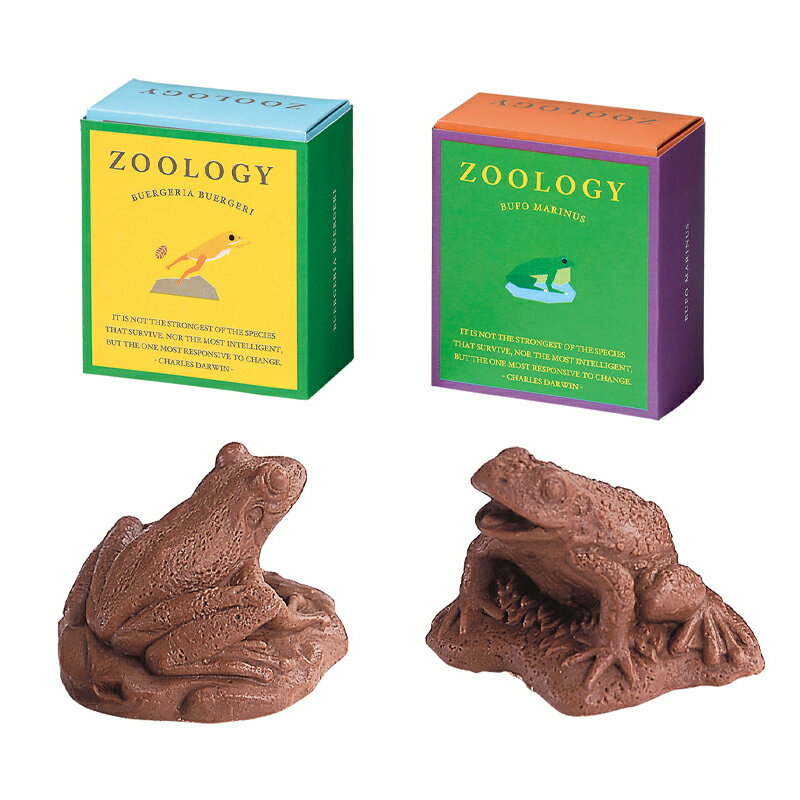 バレンタインチョコ 2024 カジカガエル / ヒキガエル ズーロジー zoology 冬ギフト 愛知 お土産 お歳暮 御中元 お返し 誕生日 父の日 母の日 プレゼント インスタ映え お取り寄せ スイーツ ホワイトデーのサムネイル