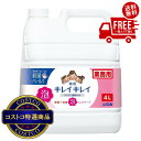 送料無料!(北海道、沖縄ほかの除く)楽天店限定:(コストコ) キレイキレイ 薬用 泡ハンドソープ 4リットル