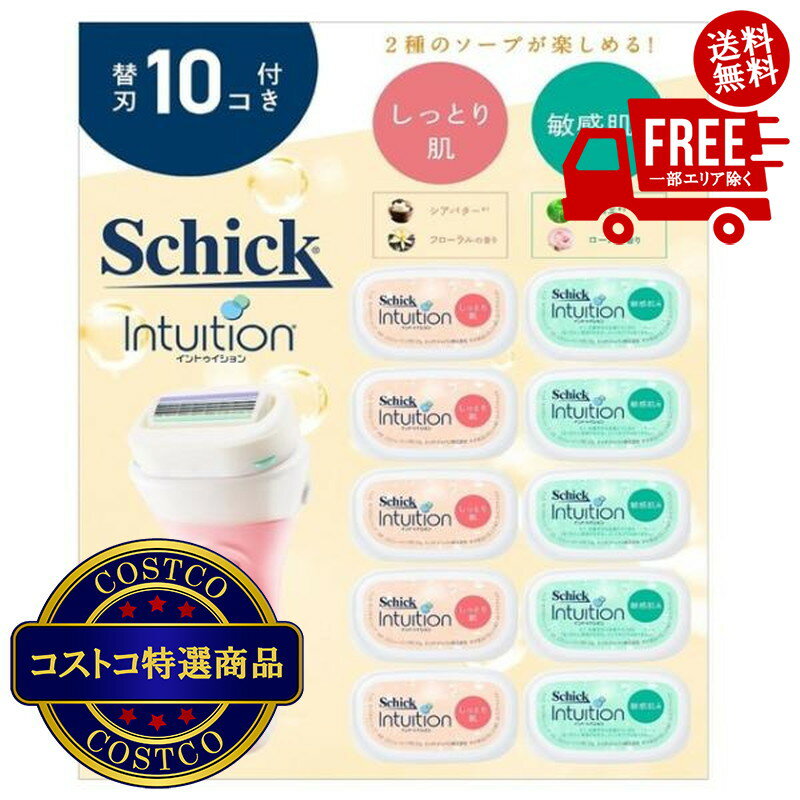 ����̵����(�����ȥ�) Schick (���å�) ����ȥ�������� ����֥ѥå� ���ο���+�ؿ�10�ġ�������ʸ��2-3������ˤ��Ϥ����ޤ�