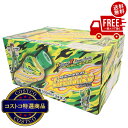 送料無料!(北海道、沖縄ほかの除く)楽天店限定:(コストコ) ライフガード 500ml x 24本