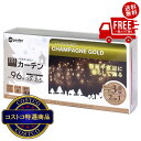 送料無料!(北海道、沖縄ほかの除く)楽天店限定:(コストコ) タカショー イルミネーション カーテン 96球 シャンパンゴールド