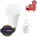 送料無料!(北海道、沖縄ほかの除く)楽天店限定:(コストコ) NEWGALE 充電式LED電球E26 60W 810lm 3個パック PJG-9WE