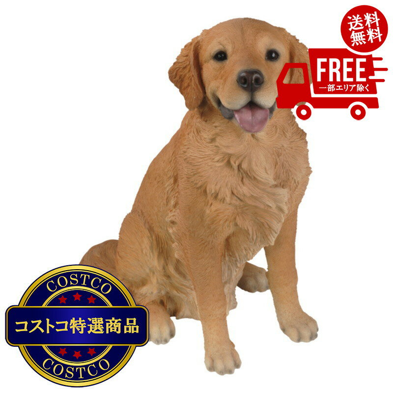 送料無料!(北海道、沖縄ほかの除く)楽天店限定:(コストコ) ウービア お座りゴールデンレトリバーの置物 (特大) H13098