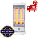 送料無料!(北海道、沖縄ほかの除く)楽天店限定:(コストコ) アラジン 遠赤グラファイトヒーター AEH-G100D(W)