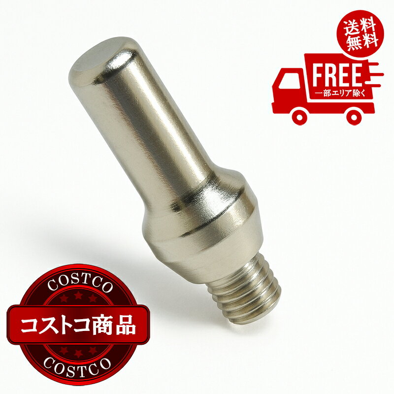 送料無料！（北海道、沖縄ほかの除く）楽天店限定：(コストコ) SUZUKID SPADA40用電極 10個 P-777