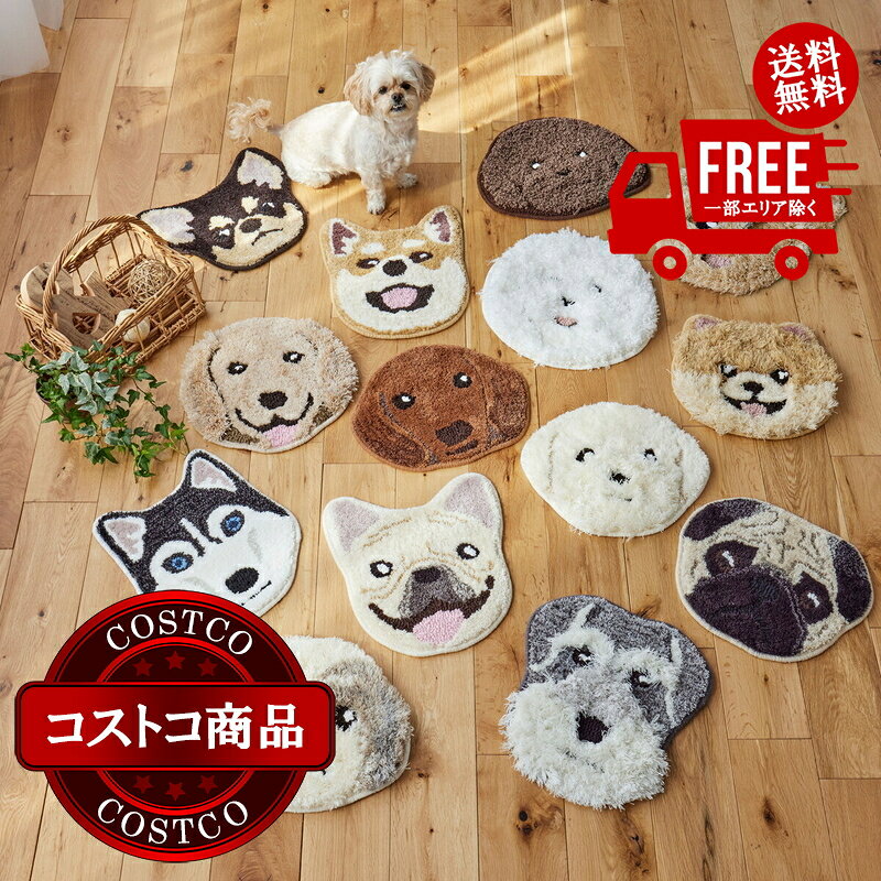 送料無料！(コストコ) スミノエ チェアパッド イヌカオ　※ご注文後5-14日でお届け...