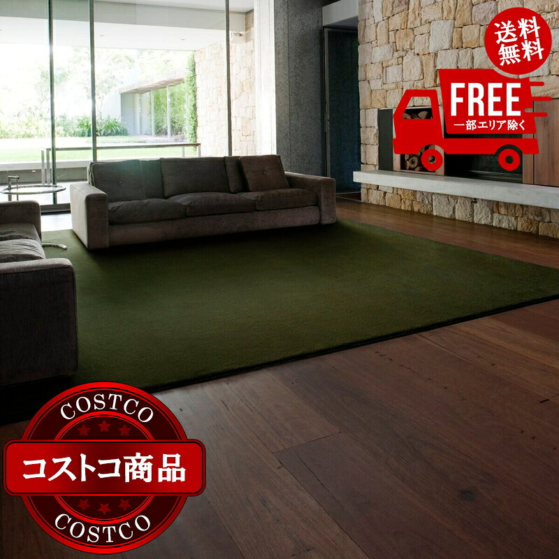 送料無料！(コストコ) スミノエ 防炎・防音・消臭ラグ スミトロンニューサキソニーラグ 261cm x 261cm グリーン　※ご注文後7-14日でお届けします