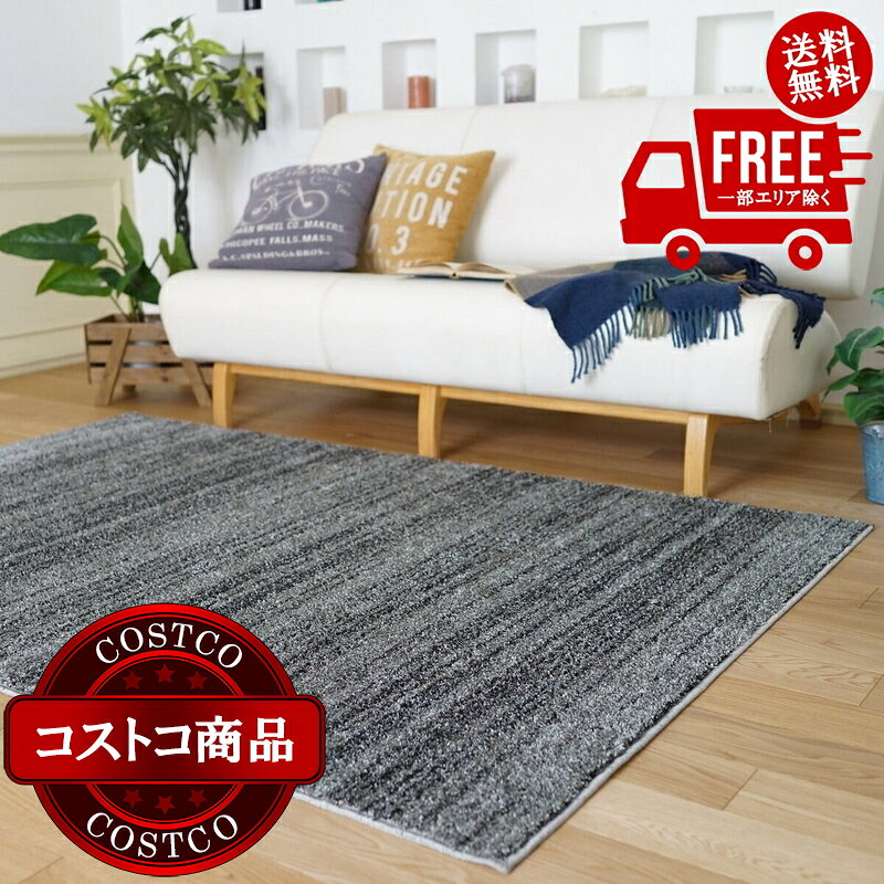 送料無料！(コストコ) スミノエ 防炎・防音ラグ リュストル 200cm x 250cm ダーク...