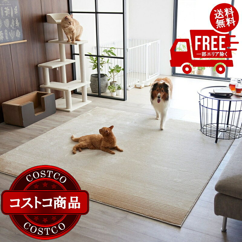 楽天市場】コストコ ラグ（カーペット・マット・畳｜インテリア・寝具