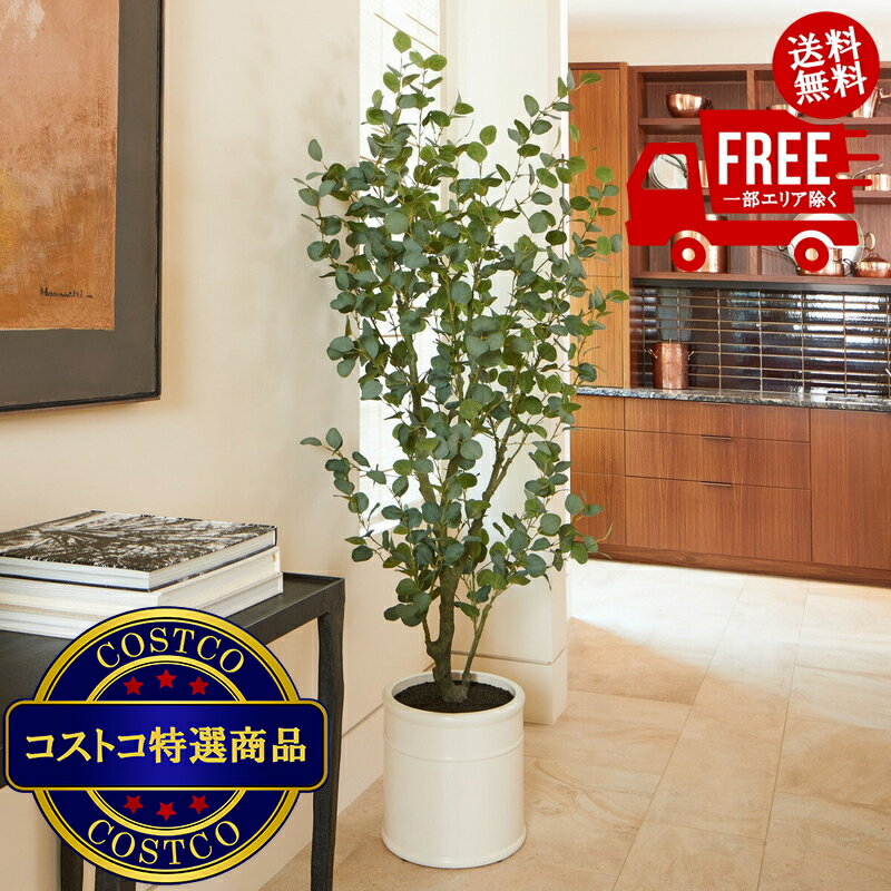 送料無料！(コストコ) CG HUNTER 人工観葉植物 ユーカリ 約198cm　※ご注文後2-3日以内にお届けします