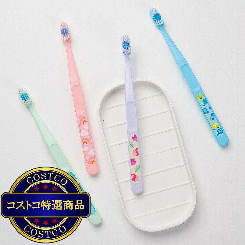 ����̵����(�����ȥ�) ���硼���� �Хǥ� �Ҷ����֥饷 1��4�� 12�ܡ�������ʸ��2-3������ˤ��Ϥ����ޤ�