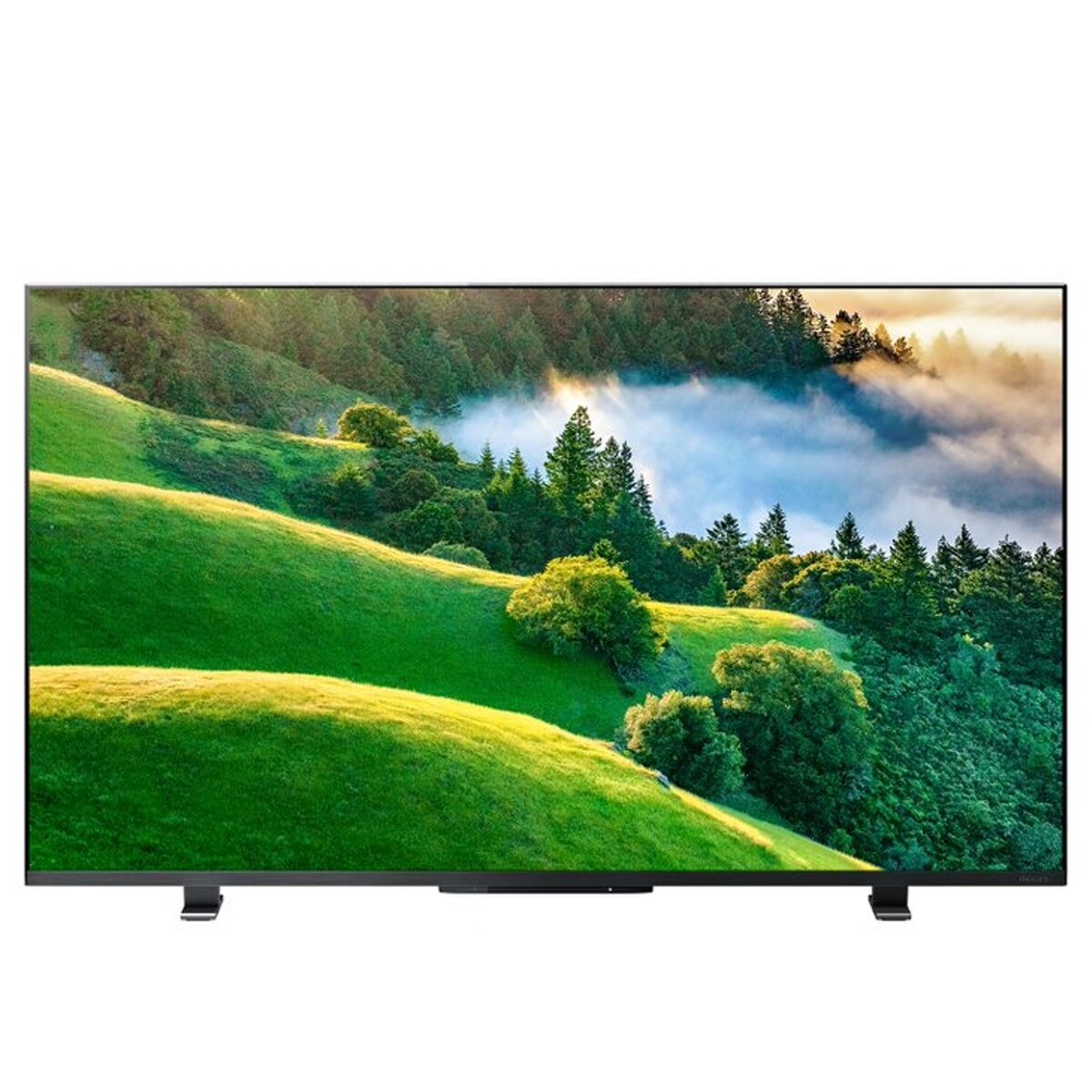 送料無料！（北海道、沖縄ほかの除く）楽天店限定：(コストコ) 東芝 レグザ 43インチ 4K HDR液晶テレビ 43M550L