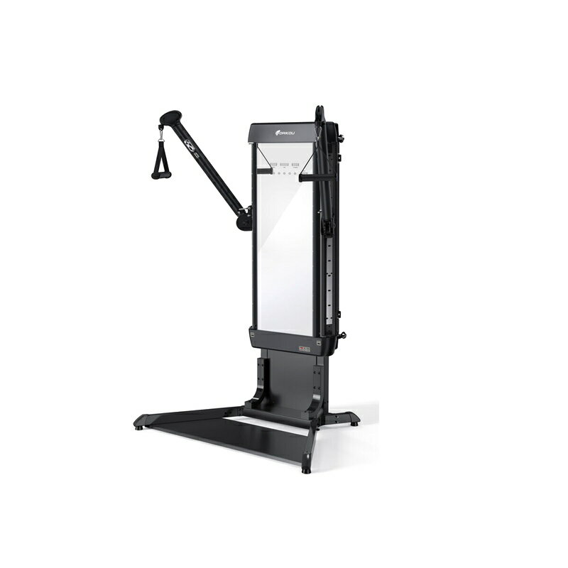 送料無料！(コストコ) ダイコー ケーブルトレーナー DK-L805　※ご注文日より通常7日から14日でお届け致します。