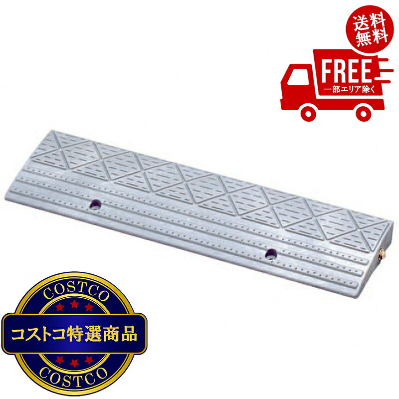 送料無料！(コストコ) アイリスオーヤマ 段差プレート NDP-60AE グレー 高さ4〜6cm 幅60cm 2セット　※..