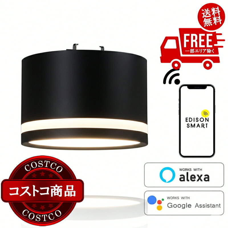 送料無料！(コストコ) Edison Smart(エジソンスマート) TREOミニシーリングライト 引掛けシーリング用ブラック TRE-TZ413BK ※ご注文後5-14日でお届けします
