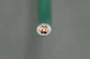 IV2SQ (600Vビニル絶縁電線 2mm2) 緑 1m 【電気工事士試験材料】【バラ売り】ジェイメディアネット