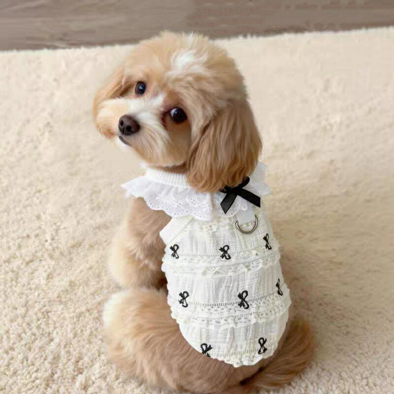 【26年春夏新品】ドッグウェア 犬服 犬用ウェア ペットウェア Tシャツ ペット服 リボン柄 レース襟 愛犬 春服 夏服 通気性抜群 ストレッチ素材 Dカン付き シンプル かわいい イヌ用 小型犬用 中型犬用 虫よけ対策 S~XXL