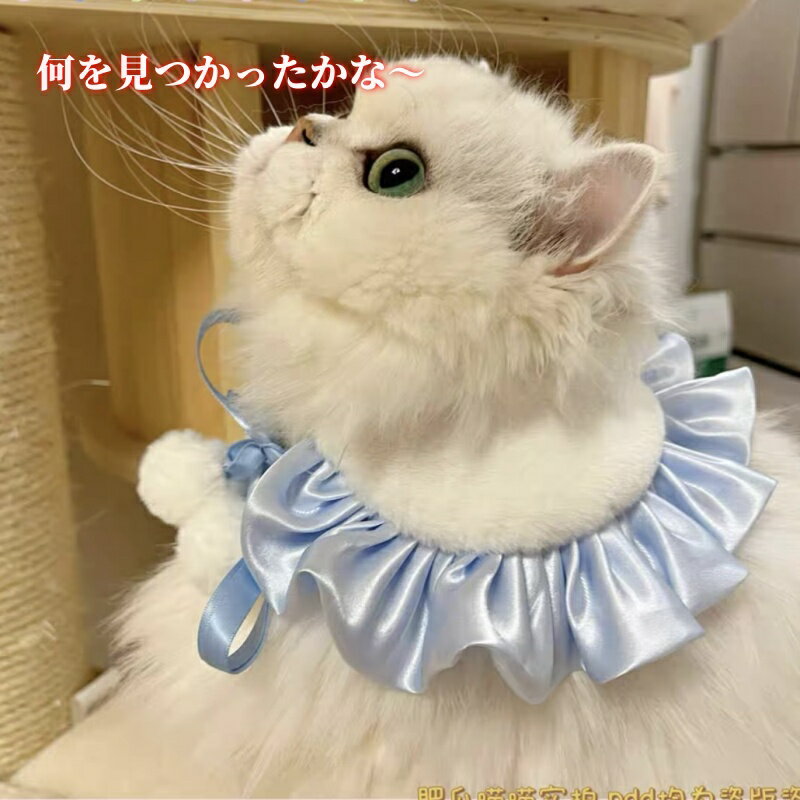 �ڤ��ɤ�2���300��OFF/���ɤ�3���500��OFF�۸����� �ߥ˥����� �ڥå����� ���� �ޥե顼 �ɥå������� �� ǭ����� Ķ�İ��� �⥳�⥳ �դ�դ� ���餫�� �Ȥ��� �͵� 5�� �������� XS��M ���ꥹ�ޥ� ���Ф��� ��������