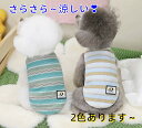 【よりどり2着で300円OFF/よりどり3着で500円OFF】犬服 犬の服 タンクトップ Tシャツ トップス ペット洋服 ドッグウェア 犬 猫ちゃん 超可愛い 綿 柔らかい さらさら 涼しい 春夏用 人気 着せやすい 新作品 S~2XL お散歩用 抜け毛防止